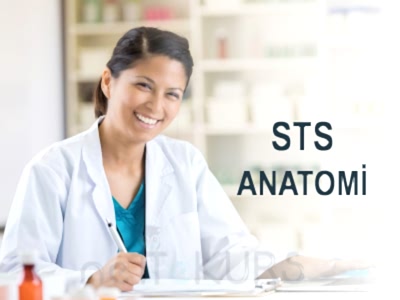 STS Eczacılık Online Anatomi Dersleri