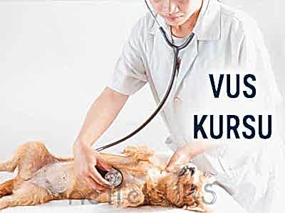 Online VUS Kursu